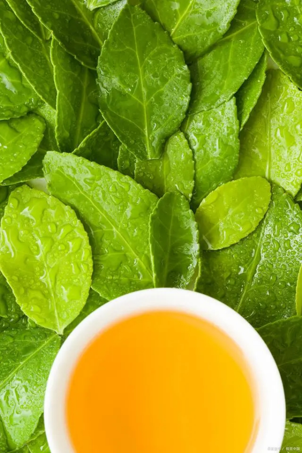 夏至饮茶：与炎热的夏天撞个满怀